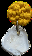 Brinco Ostra Amarelo